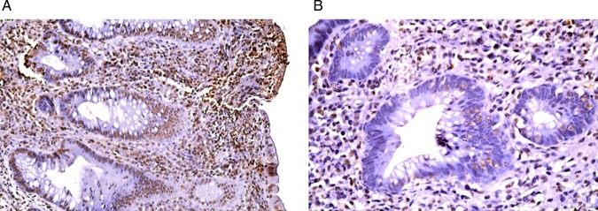 Figure 10