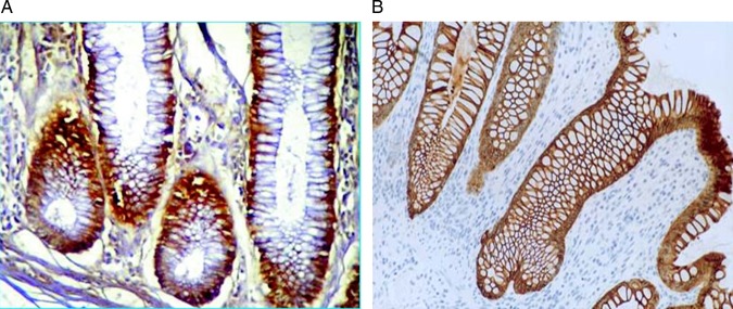 Figure 12