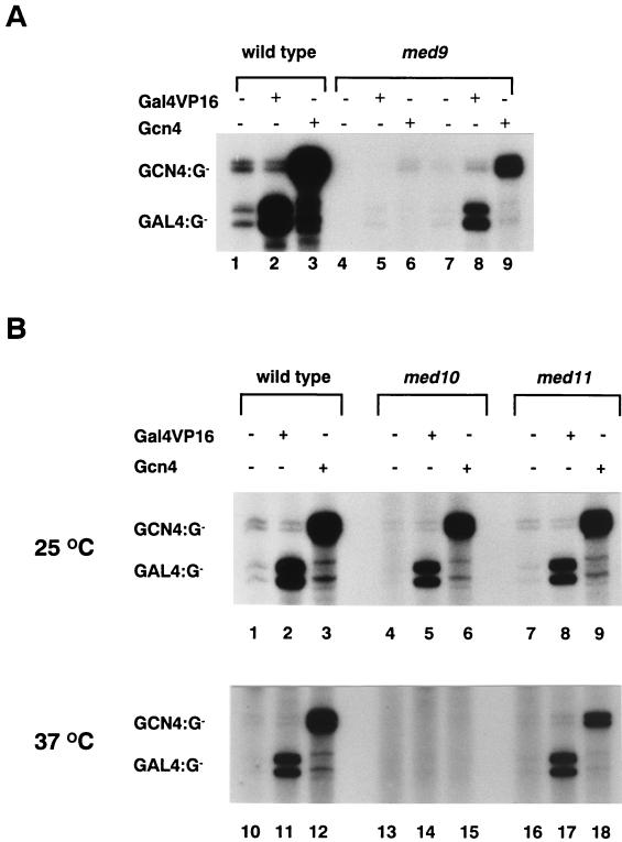 FIG. 7