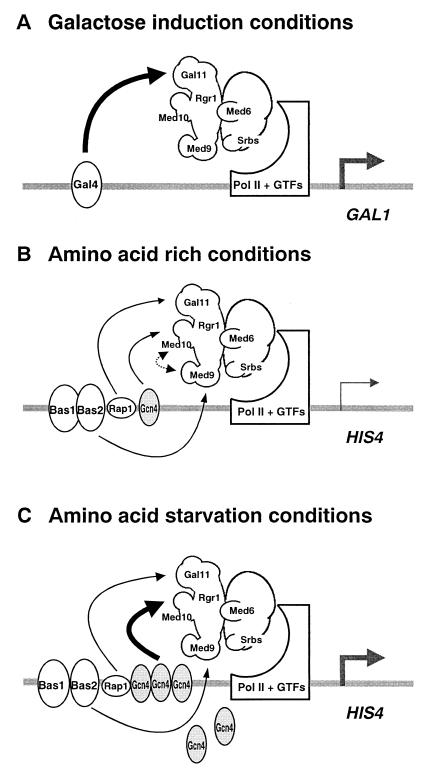 FIG. 8