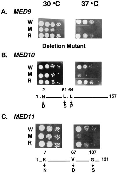 FIG. 3