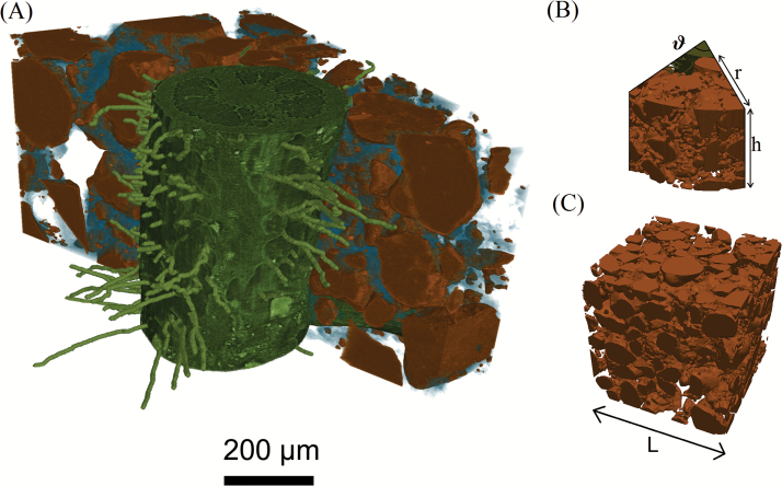 Fig. 1.