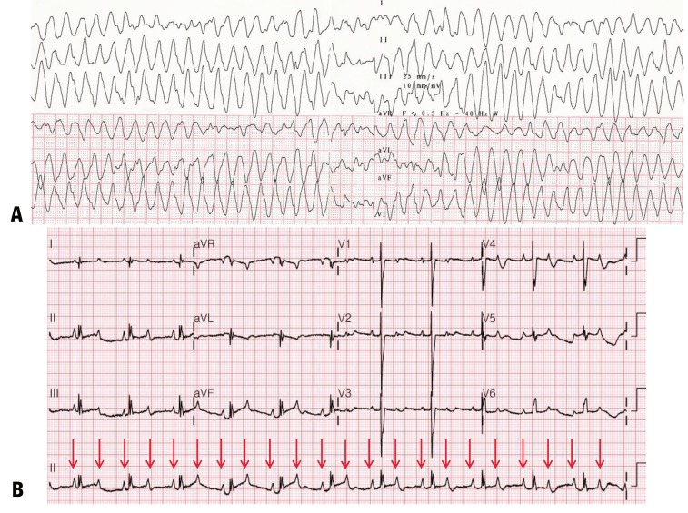 Fig. 9