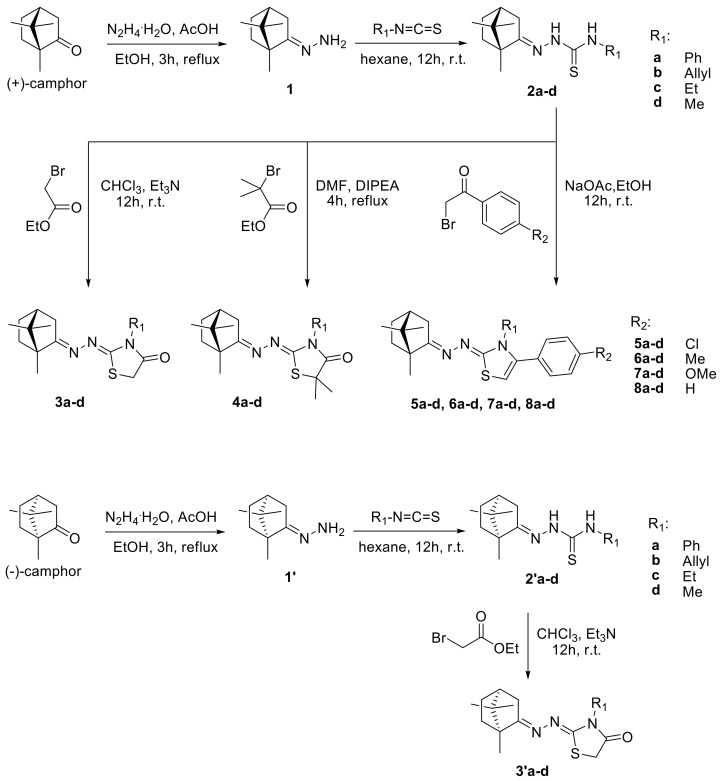 Scheme 2