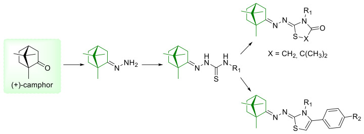 Scheme 1