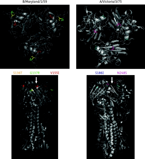 Figure 5.