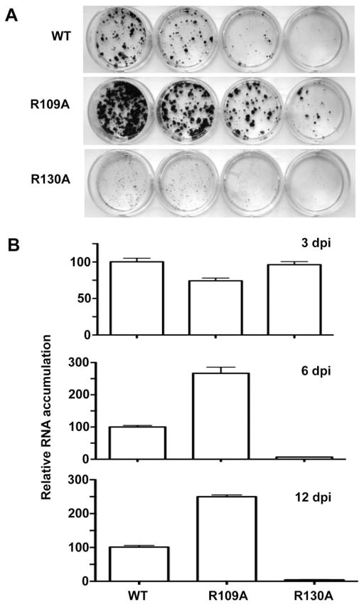 FIG. 7