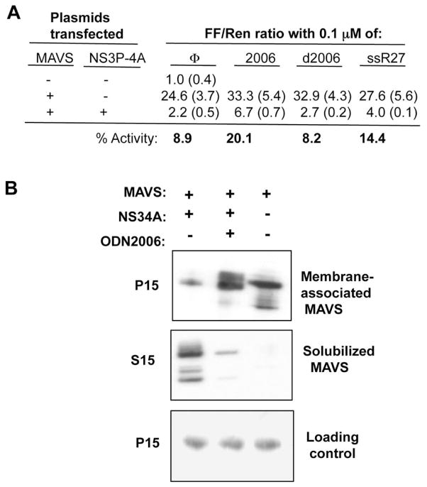 FIG. 6