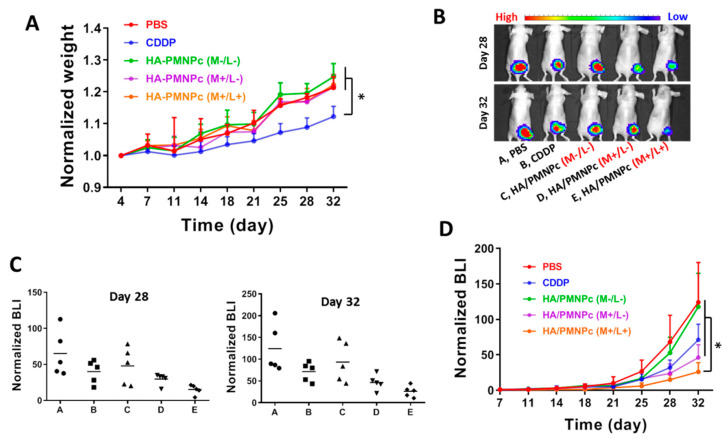 Figure 11