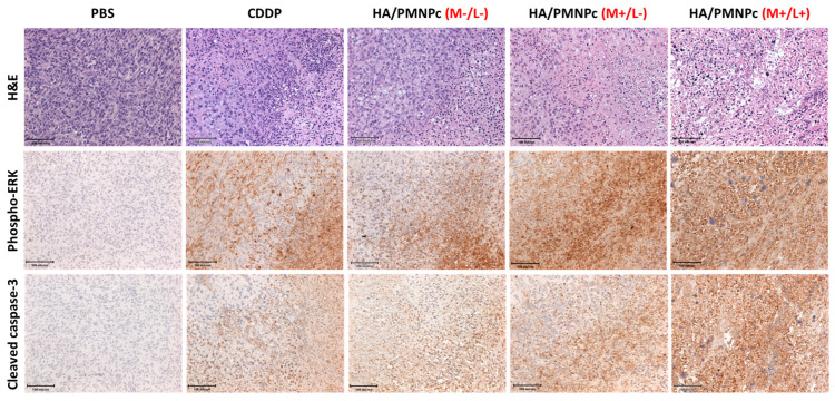 Figure 13