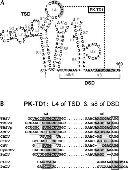 FIGURE 11.