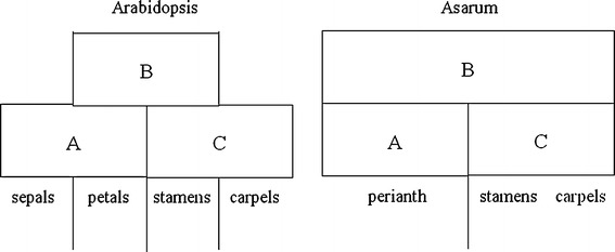 Fig. 7