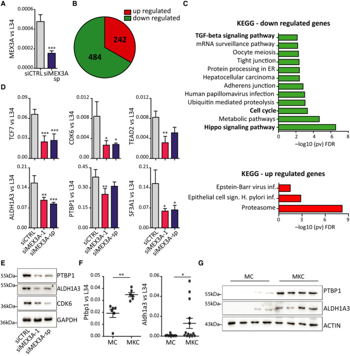 Fig. 4(Panel B of this figure has been altered: the numbers in the pie sector should be centered; moreover, the legend is partially hidden by the pie. Please see the original Figure 4 that we have attached here for reference)