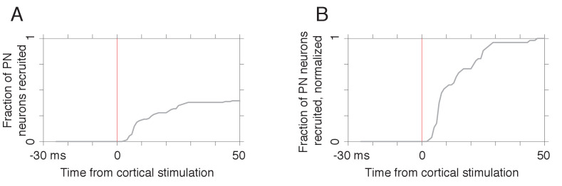 Figure 2—figure supplement 1.