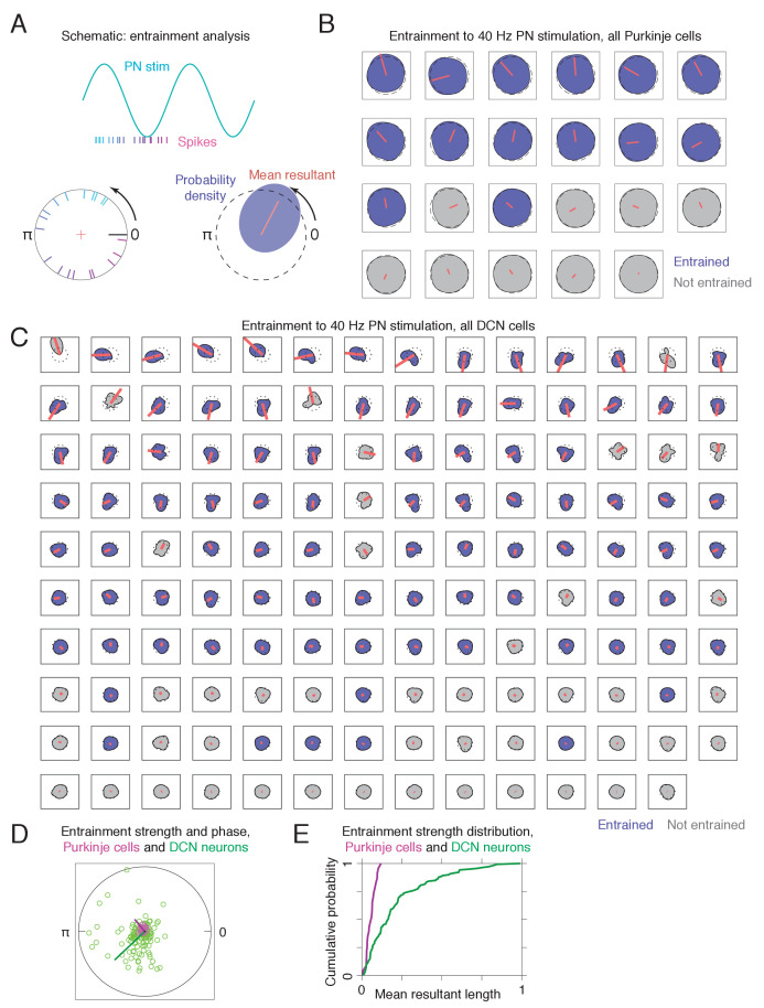 Figure 3—figure supplement 2.