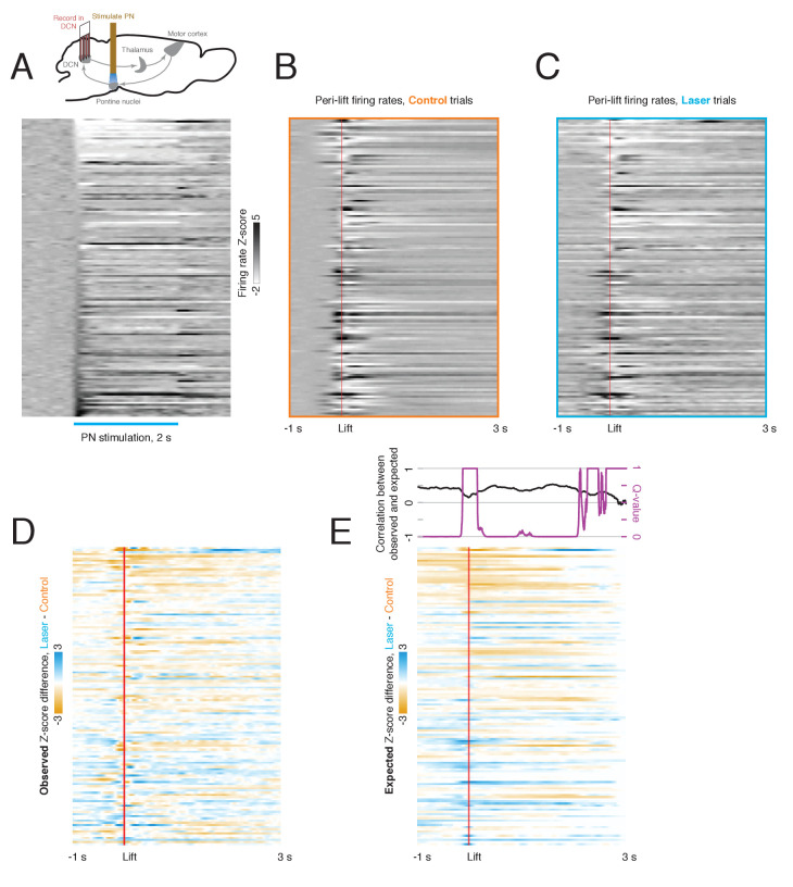 Figure 6—figure supplement 1.