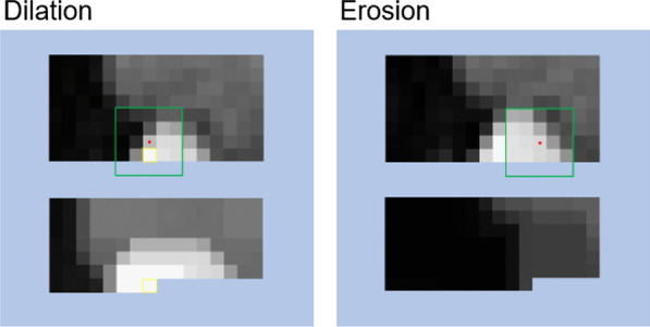 Fig. 9