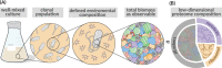Figure 1—figure supplement 1.