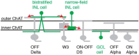 Figure 10.