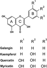 Fig. 2