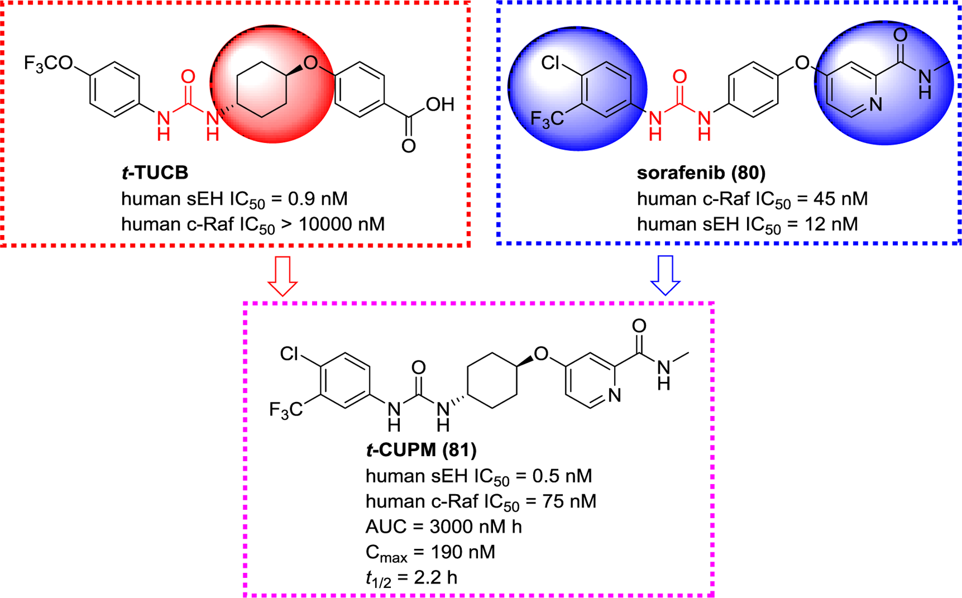 Figure 28.