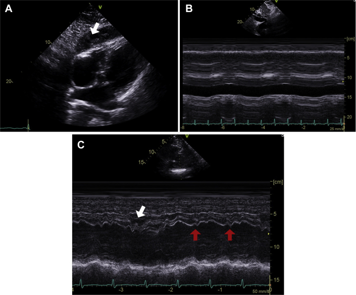 Figure 1