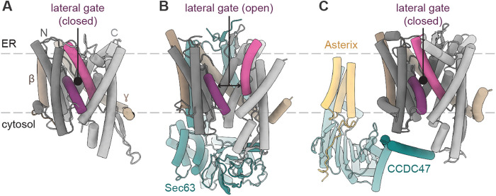 FIGURE 1: