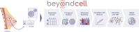 Graphical Abstract