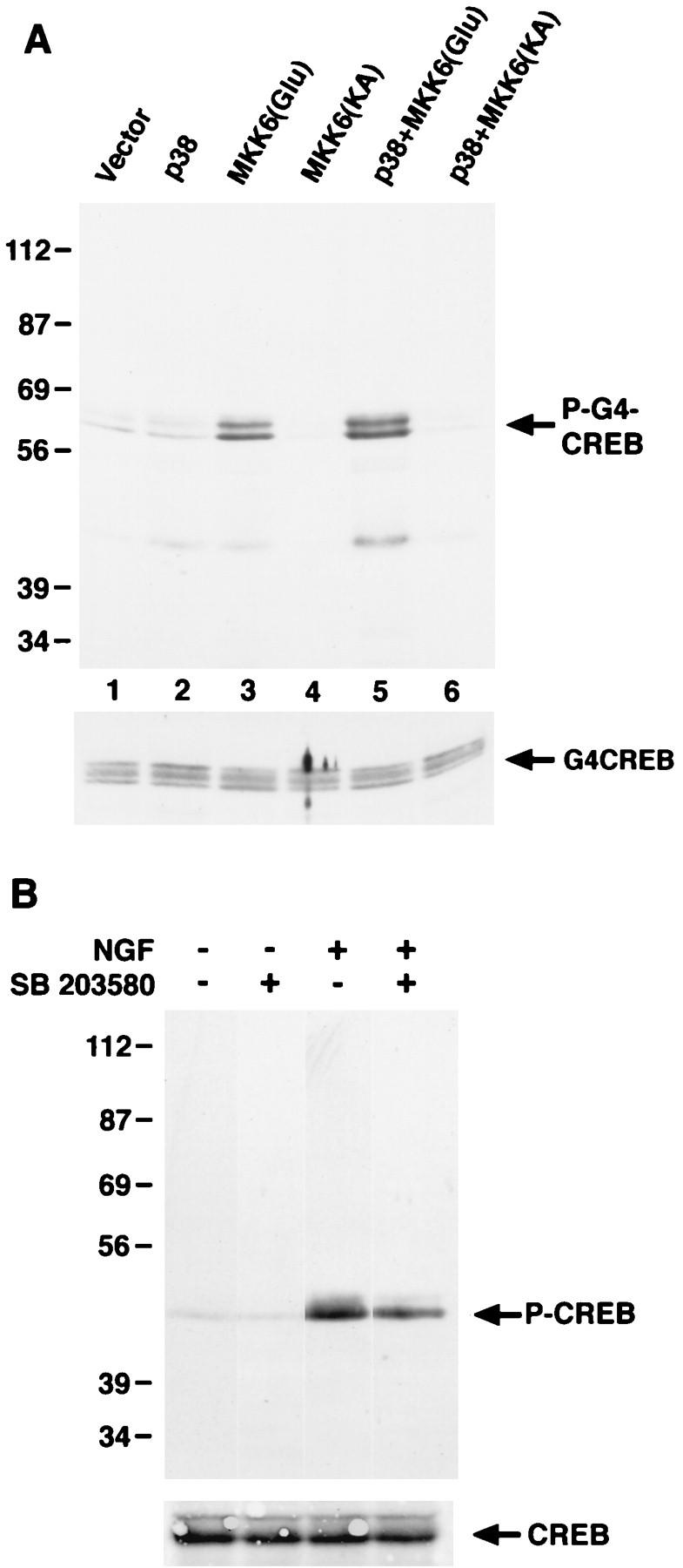 FIG. 7