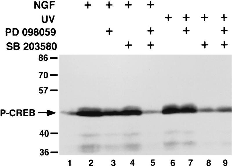 FIG. 9