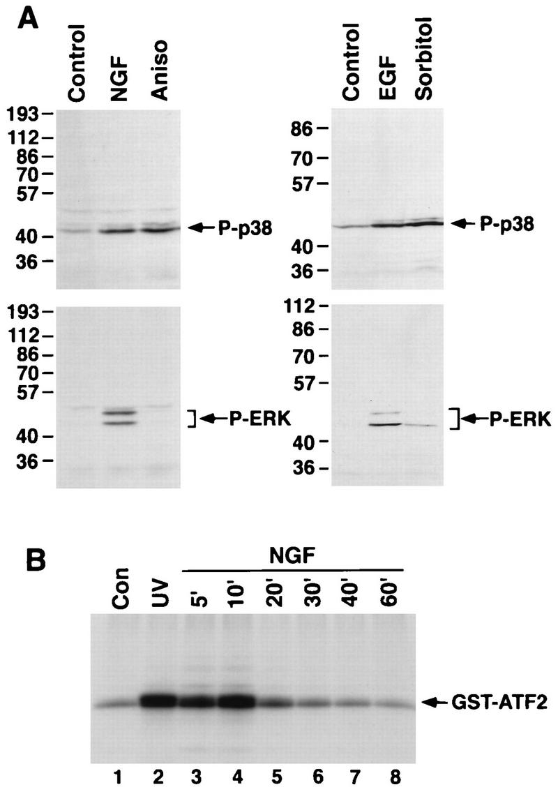 FIG. 5