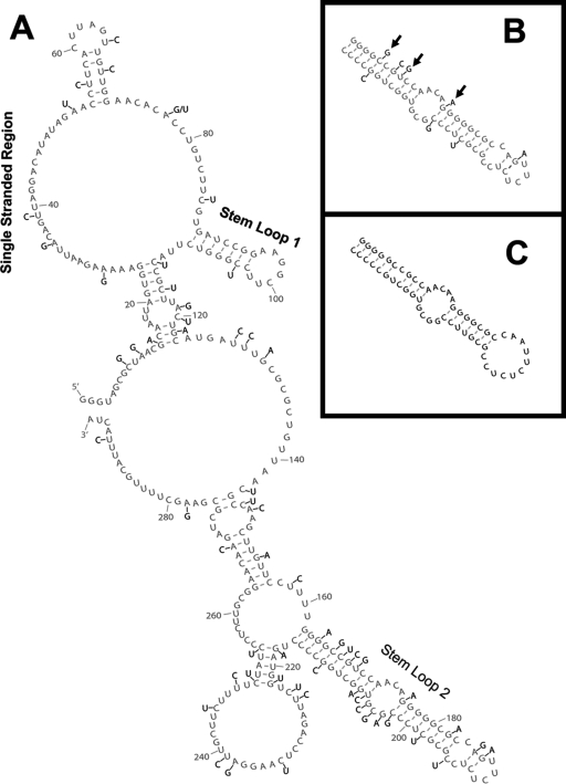 FIG. 4.