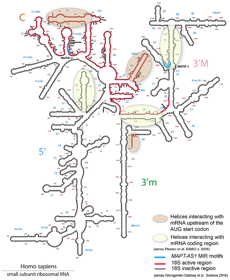 Extended Data Figure 6