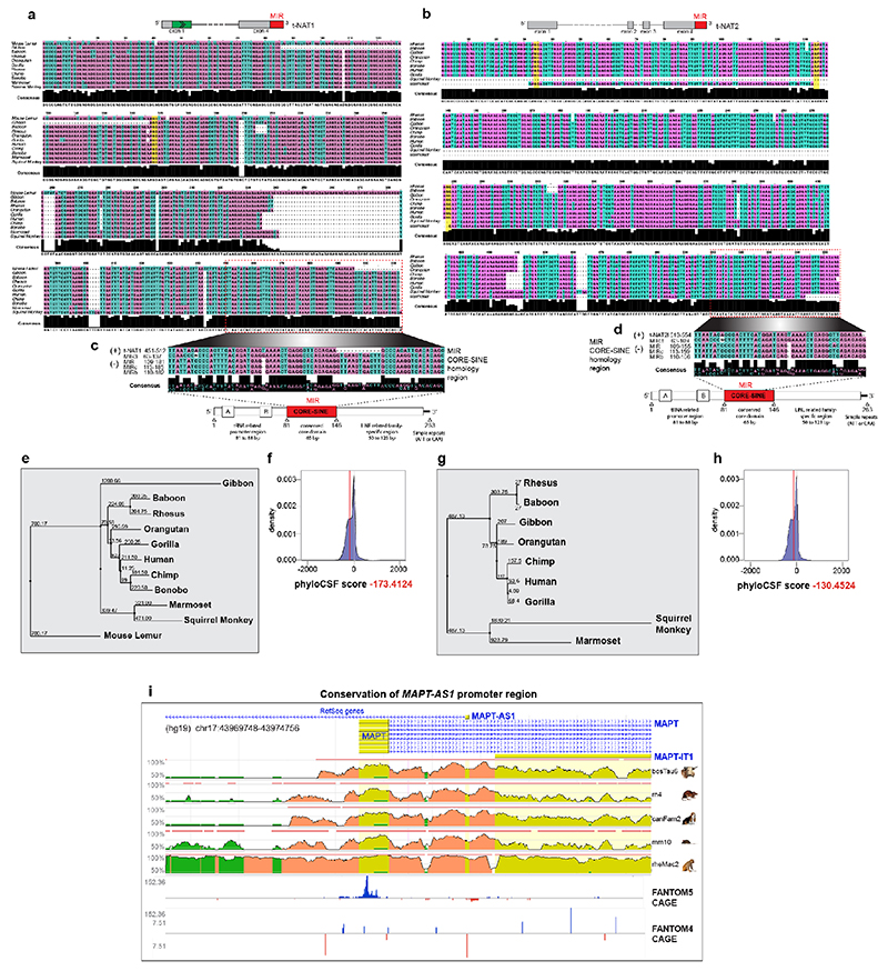 Extended Data Figure 2