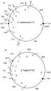 FIG. 1.