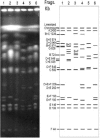 FIG. 2.