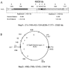 FIG. 6.
