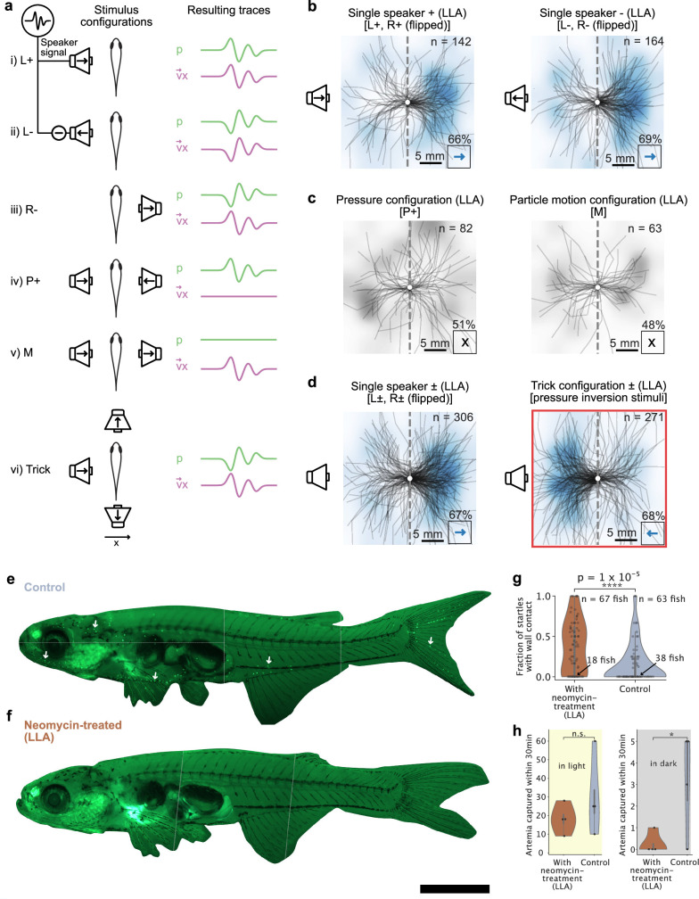 Extended Data Fig. 9