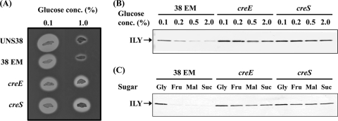 FIG. 6.