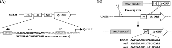 FIG. 5.