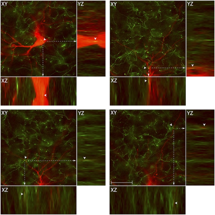 Figure 5