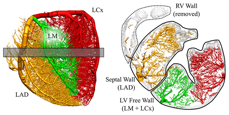 Fig. 2