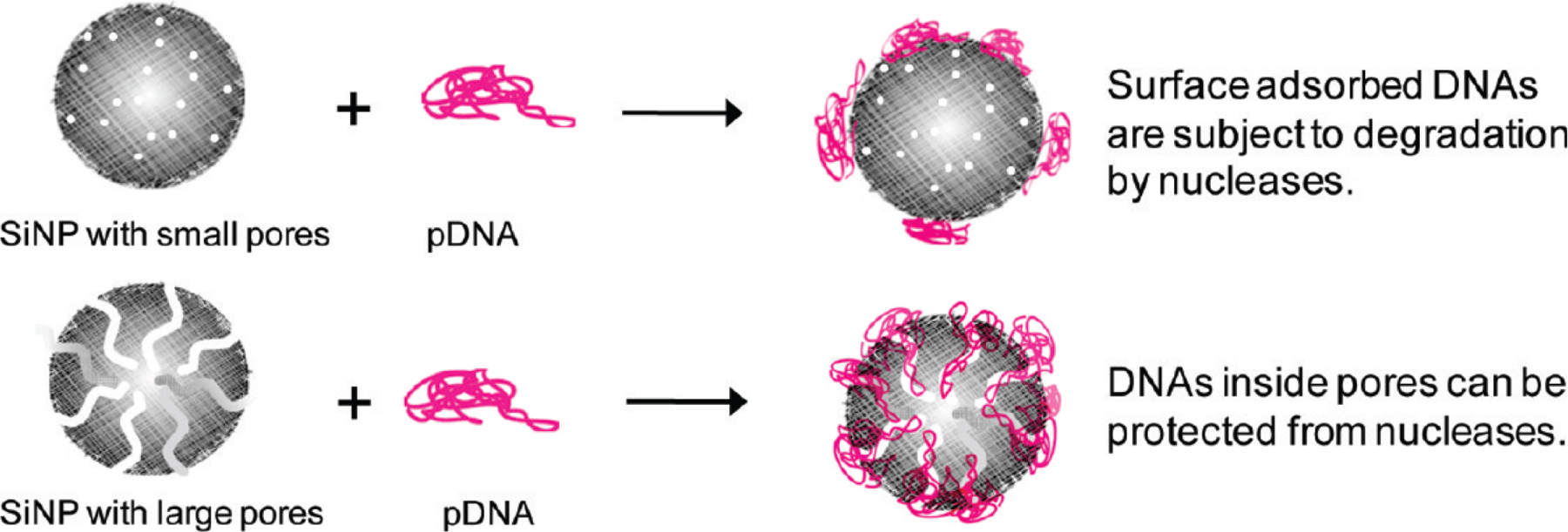 Fig. 9.