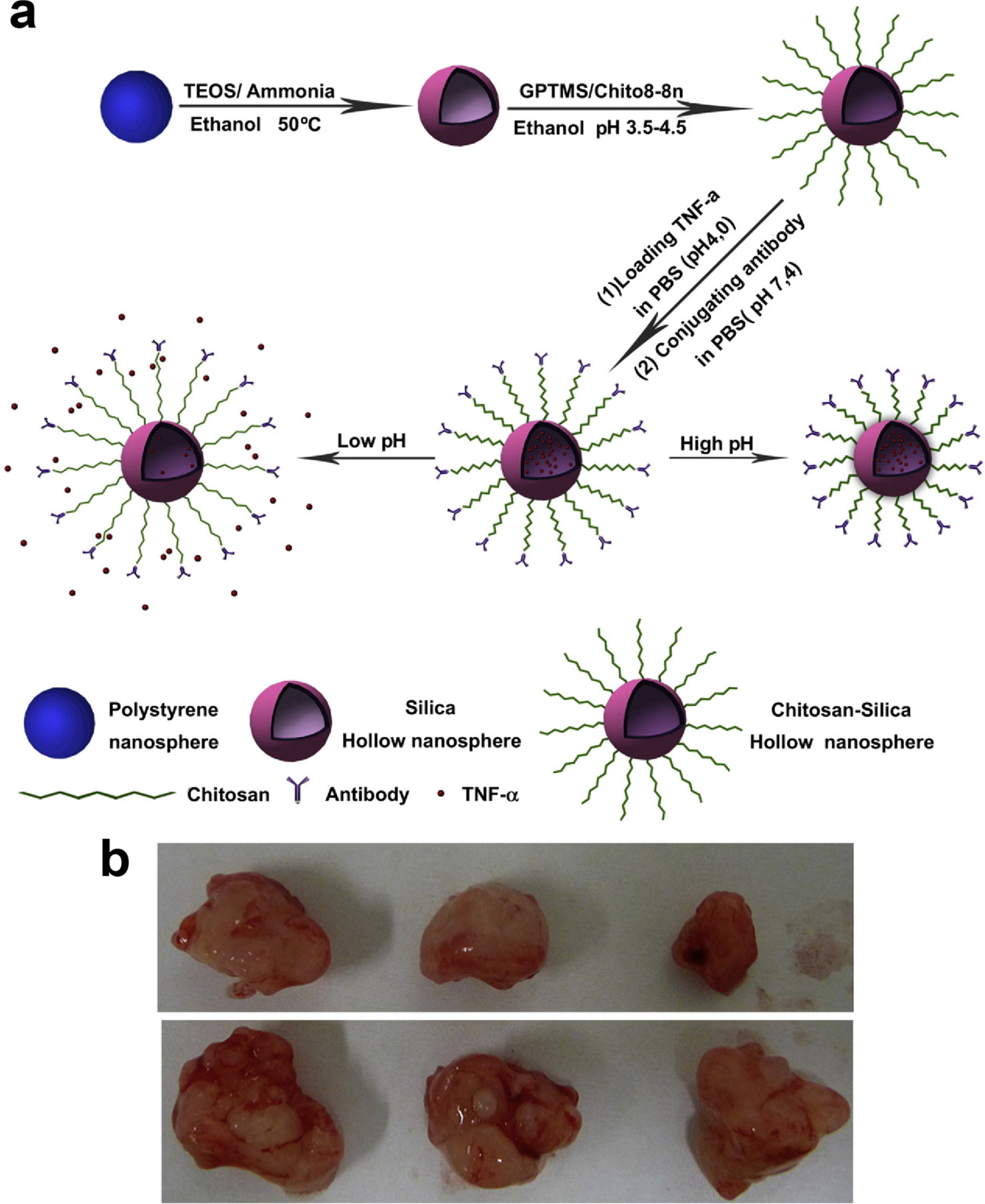 Fig. 11.