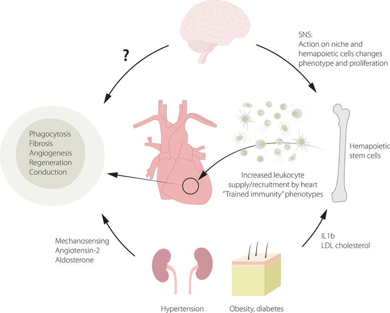 Figure 3: