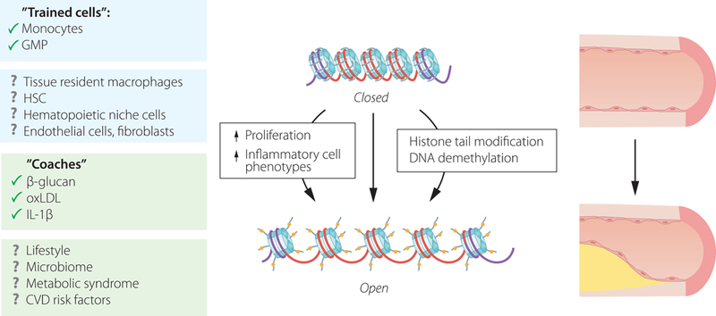 Figure 4: