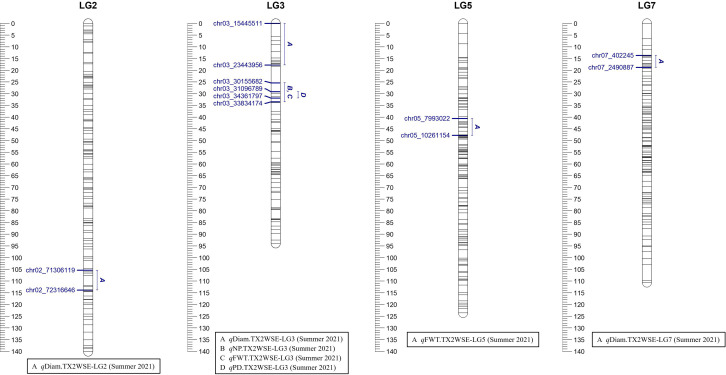 Figure 2