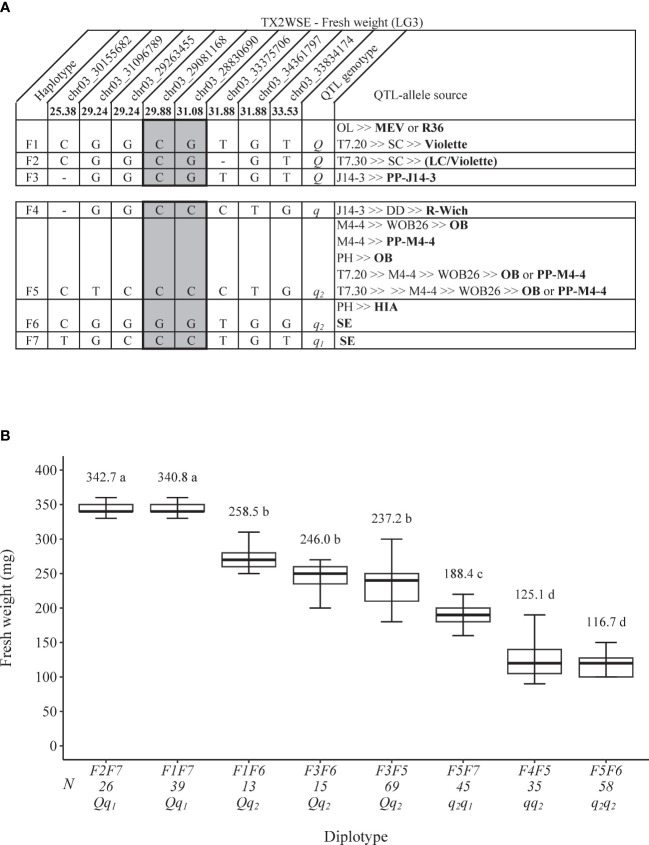 Figure 6