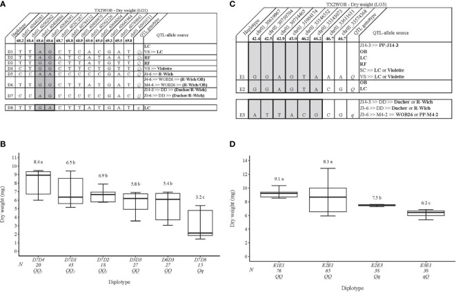 Figure 5