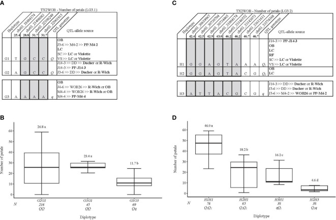 Figure 7